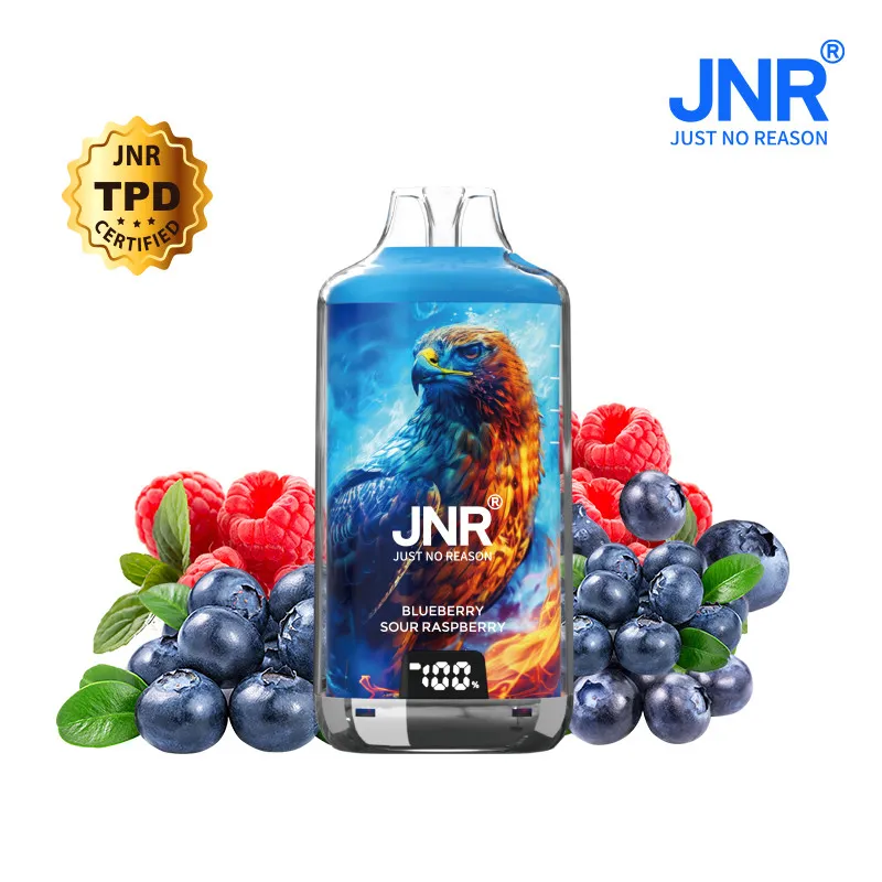 blueberry-sour-raspberry-28000-puffs-falcon-x-jnr.webp