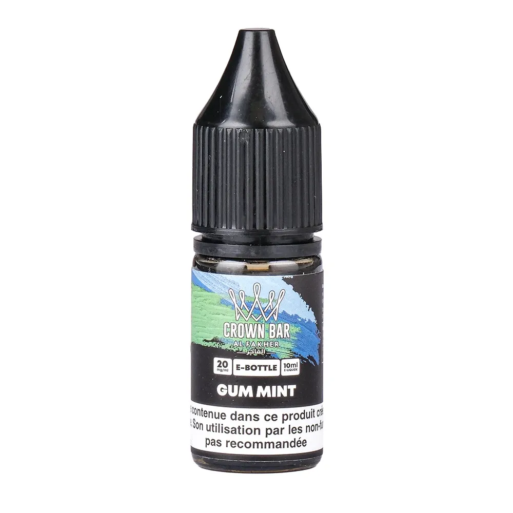 16.198-13-al-fakher-gum-mint.webp